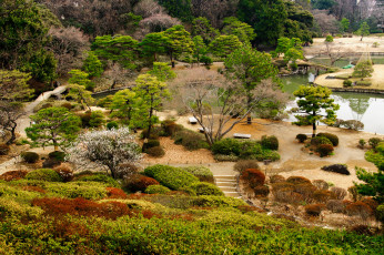 Картинка природа парк