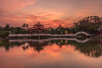 Картинка природа парк