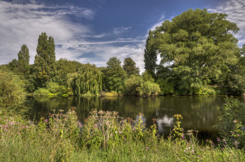 Картинка природа реки озера пейзаж