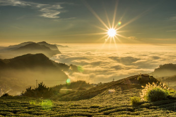 Картинка природа восходы закаты солнце