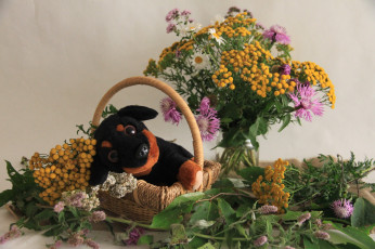 Картинка разное игрушки цветы собака букет грибы игрушка