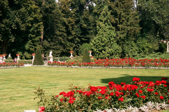 Картинка природа парк лето цветы лужайка клумбы