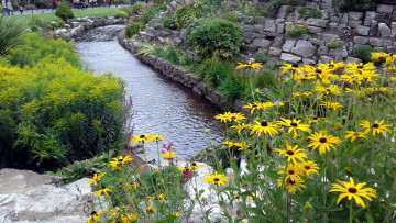 Картинка природа парк водоем цветы камни