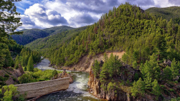 Картинка природа реки озера деревья река