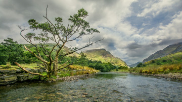 Картинка природа реки озера простор