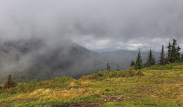 Картинка природа пейзажи галина хвостенко холмы туман ели тайга