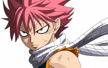 Картинка аниме fairy+tail cerealfalcon