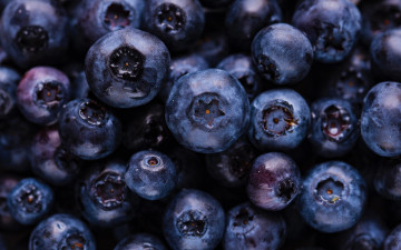 Картинка еда голубика +черника много черника макро