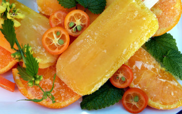 Картинка еда мороженое +десерты кумкват апельсин мята