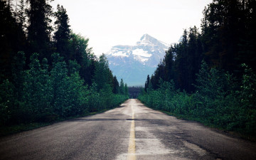 Картинка природа дороги шоссе