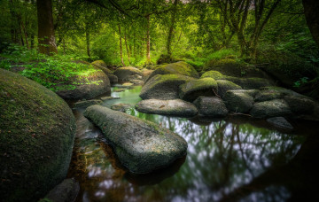 Картинка природа реки озера простор