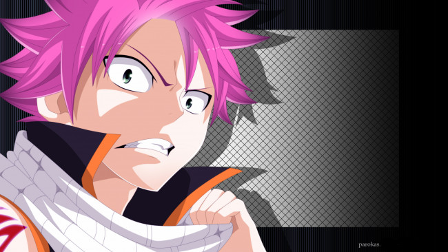 Обои картинки фото аниме, fairy tail, хвост, феи