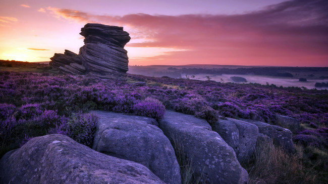 Обои картинки фото природа, восходы, закаты, закат, вереск, камни