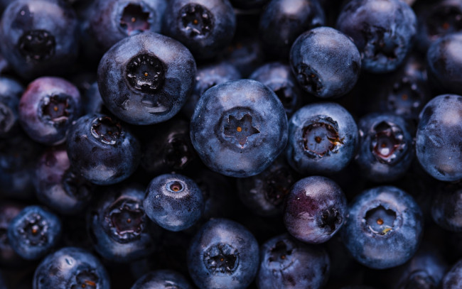 Обои картинки фото еда, голубика,  черника, много, черника, макро