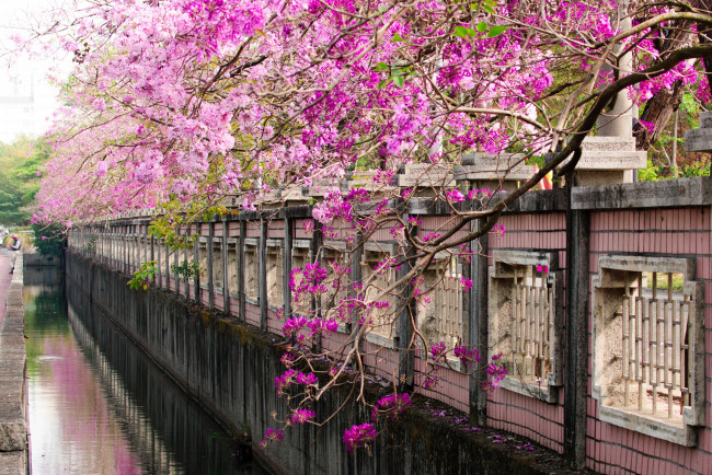 Обои картинки фото города, - улицы,  площади,  набережные, парк