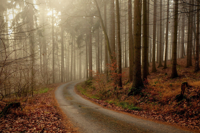 Обои картинки фото природа, дороги, простор