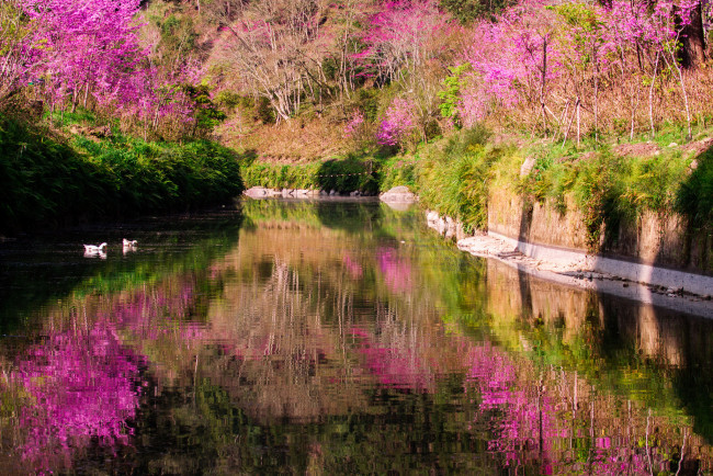 Обои картинки фото природа, реки, озера, озеро