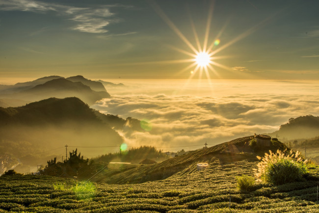 Обои картинки фото природа, восходы, закаты, солнце