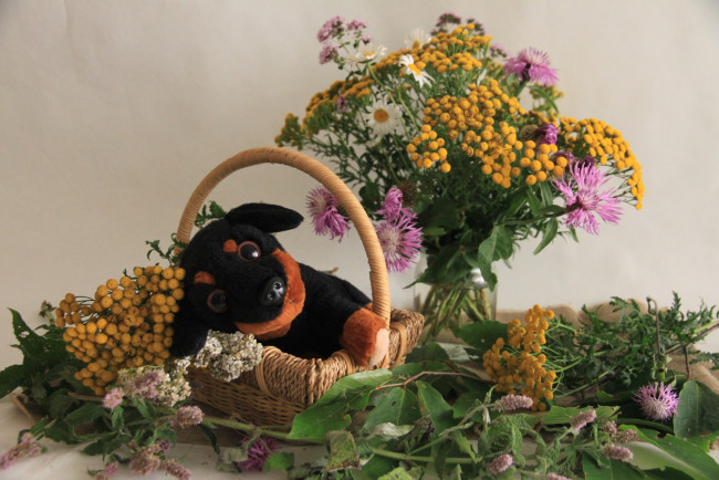 Обои картинки фото разное, игрушки, цветы, собака, букет, грибы, игрушка