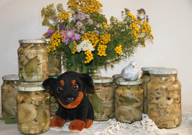 Обои картинки фото еда, консервация, букет, грибы, цветы, собака, птичка