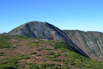 Картинка гора+облачная природа горы россия приморье сихотэ- алинь облачная гора