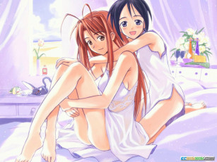 Картинка аниме love hina