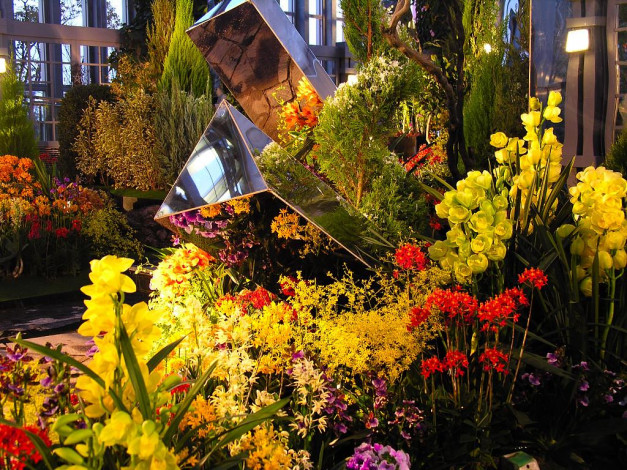 Обои картинки фото цветы, орхидеи