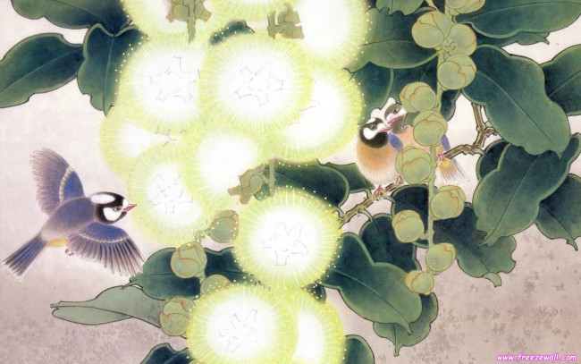 Обои картинки фото рисованные, животные, птицы