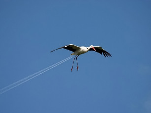 Картинка юмор приколы