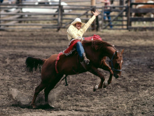 Картинка спорт конный