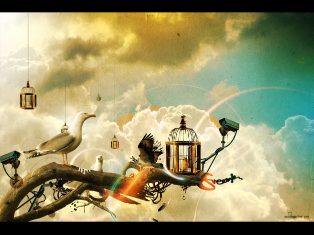 Обои картинки фото векторная, графика