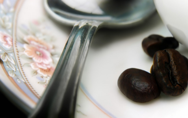 Обои картинки фото еда