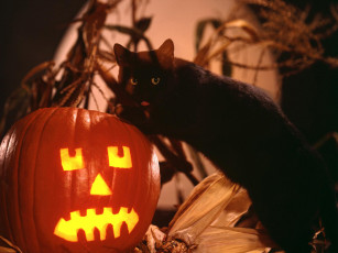 Картинка праздничные хэллоуин