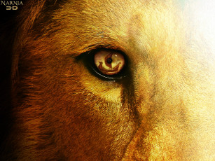 Картинка the chronicles of narnia voyage dawn treader кино фильмы