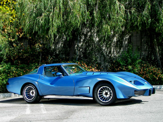 Обои картинки фото 1976, corvette, custom, lr, автомобили