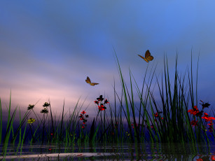 Картинка 3д графика nature landscape природа бабочки