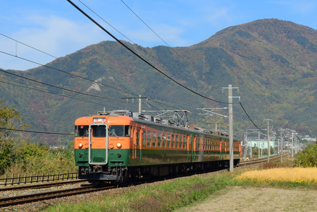 Обои картинки фото техника, электрички, рельсы, поле, горы