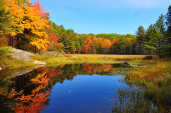 Картинка природа реки озера очень вода отражение