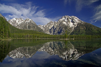 Картинка leigh lake grand teton national park wyoming природа реки озера лес отражение горы вайоминг озеро гранд-титон гора моран mount moran