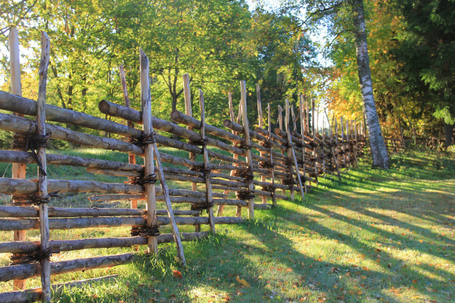 Обои картинки фото природа, дороги, тропинка, лес, забор, трава, листва