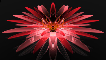 Картинка 3д+графика цветы+ flowers цвета узор фон