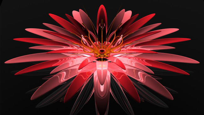 Обои картинки фото 3д графика, цветы , flowers, цвета, узор, фон