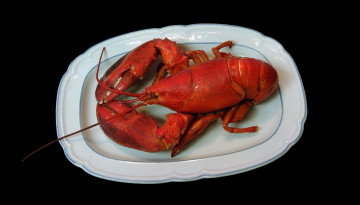 Картинка еда рыба +морепродукты +суши +роллы омар