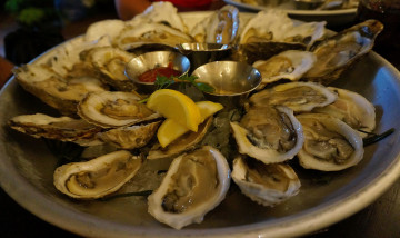 Картинка еда рыба +морепродукты +суши +роллы моллюски