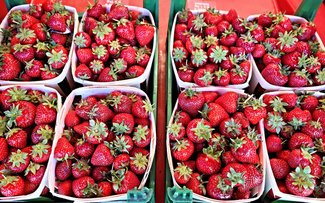 Обои картинки фото еда, клубника,  земляника, урожай