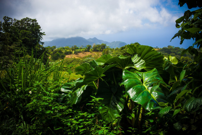 Обои картинки фото природа, пейзажи, простор