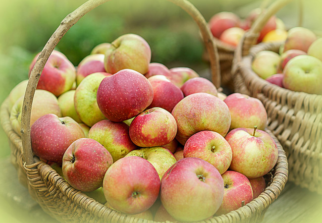 Обои картинки фото еда, Яблоки, лукошко