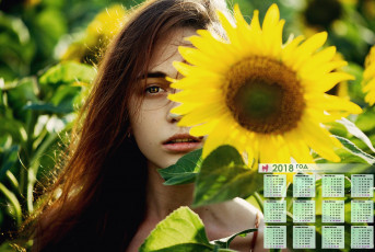 Картинка календари девушки подсолнух лицо взгляд