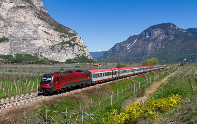 Обои картинки фото техника, поезда, локомотив, состав