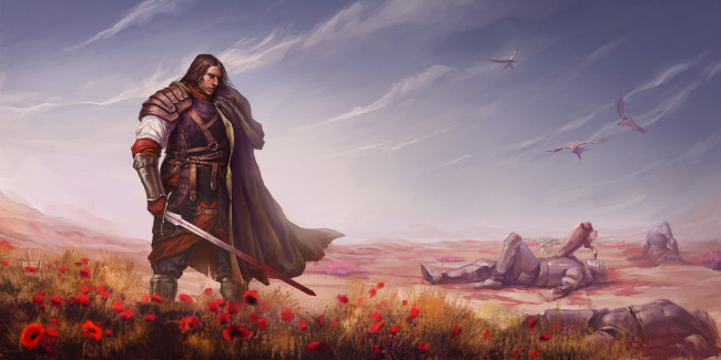 Обои картинки фото фэнтези, люди, меч, мак, птица, плащ, фон, мужчина